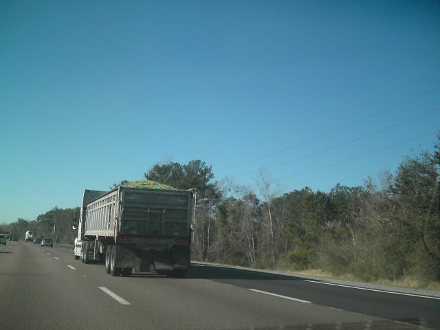 Weed Delivery