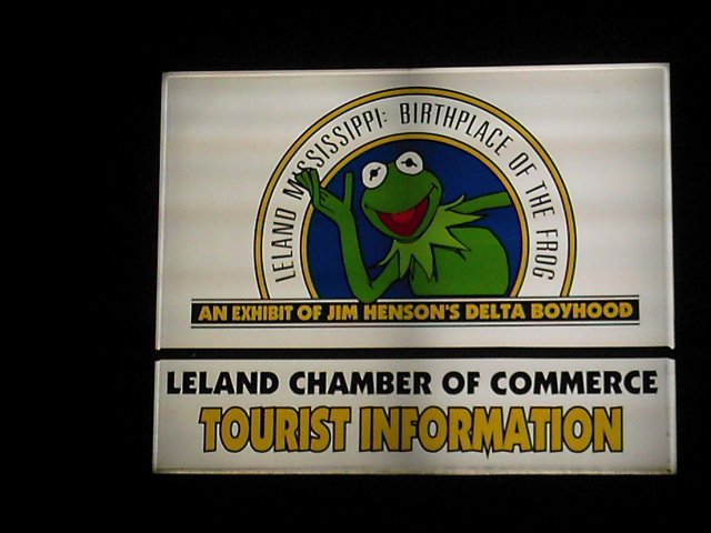 The Frog
