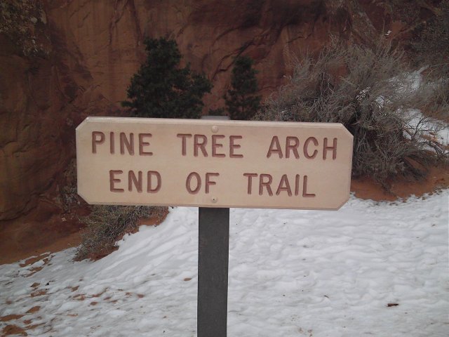 Pine Tree Arch