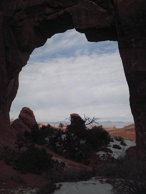 Pine Tree Arch