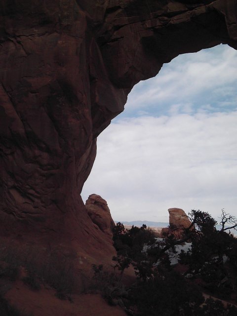 Pine Tree Arch