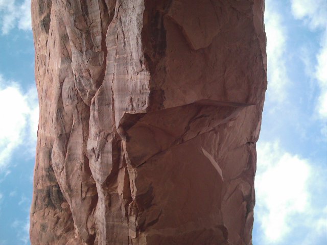 Pine Tree Arch