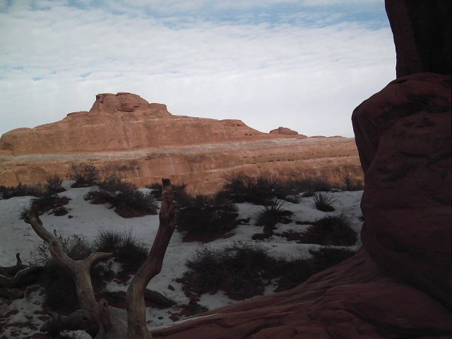 Pine Tree Arch