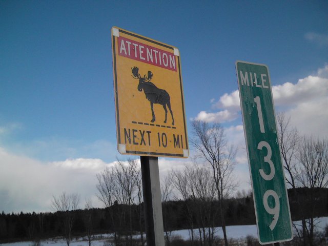 MOOSE